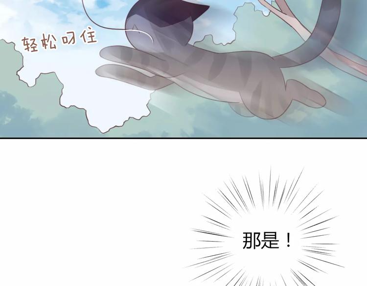 《猫爪之下》漫画最新章节第37话 清醒点！免费下拉式在线观看章节第【68】张图片