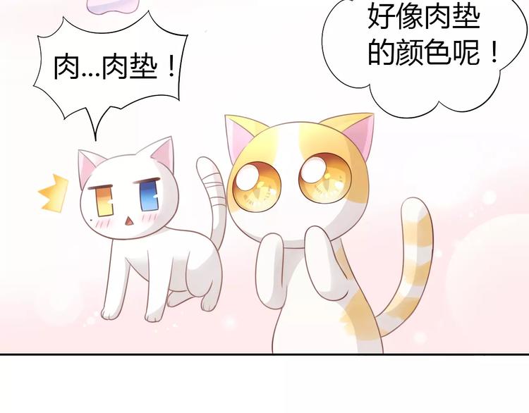 《猫爪之下》漫画最新章节第38话 樱花果冻免费下拉式在线观看章节第【12】张图片