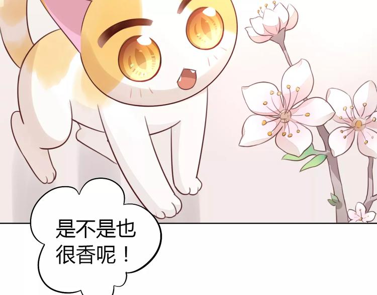 《猫爪之下》漫画最新章节第38话 樱花果冻免费下拉式在线观看章节第【20】张图片