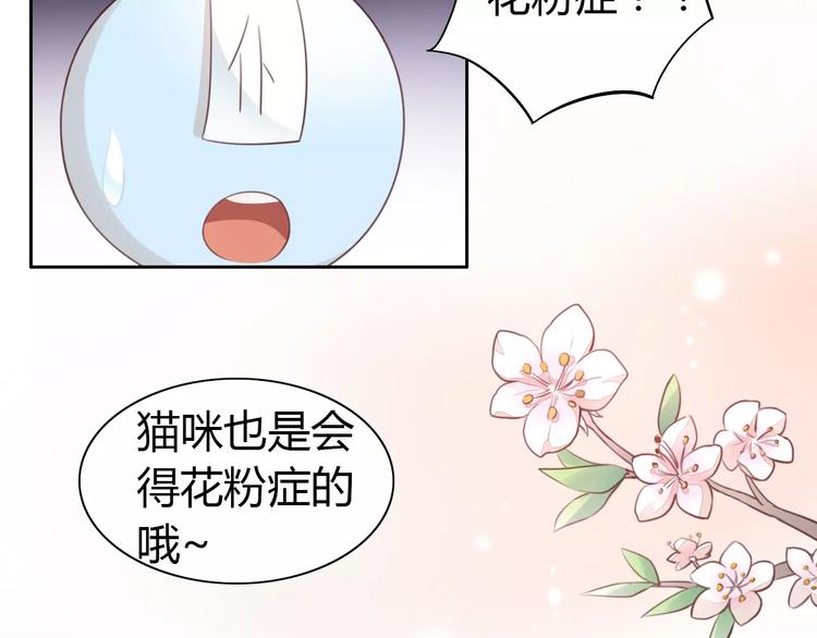 《猫爪之下》漫画最新章节第38话 樱花果冻免费下拉式在线观看章节第【27】张图片