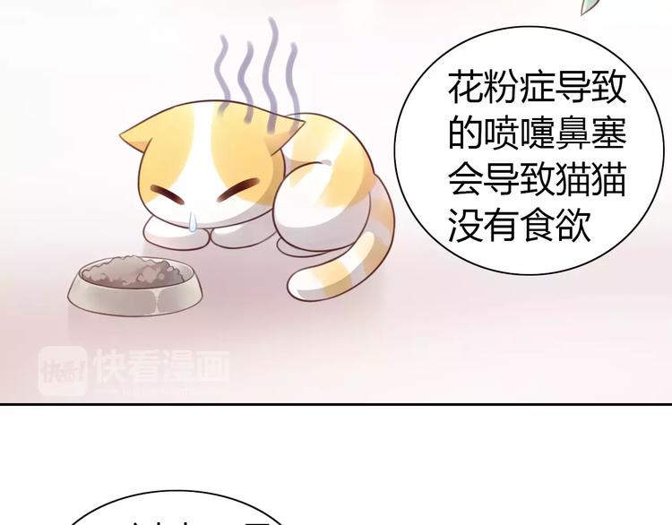 《猫爪之下》漫画最新章节第38话 樱花果冻免费下拉式在线观看章节第【28】张图片