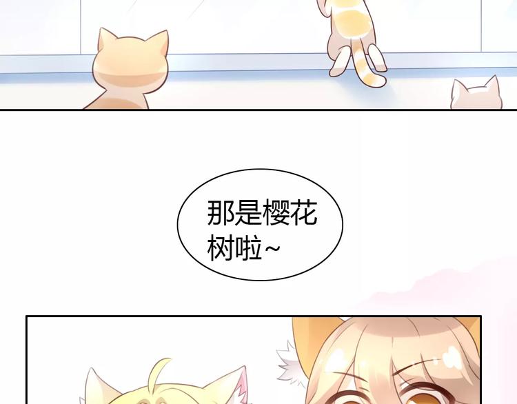 《猫爪之下》漫画最新章节第38话 樱花果冻免费下拉式在线观看章节第【8】张图片