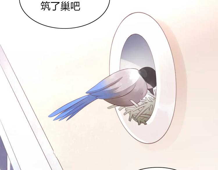 《猫爪之下》漫画最新章节第39话 鸟妈妈的苦心免费下拉式在线观看章节第【13】张图片