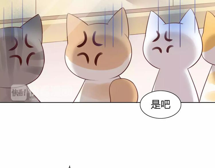 《猫爪之下》漫画最新章节第39话 鸟妈妈的苦心免费下拉式在线观看章节第【23】张图片