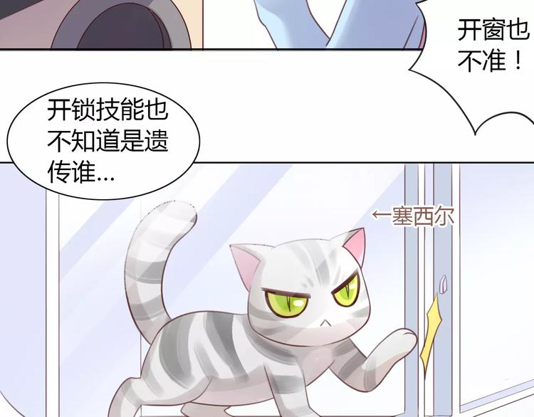 《猫爪之下》漫画最新章节第39话 鸟妈妈的苦心免费下拉式在线观看章节第【37】张图片