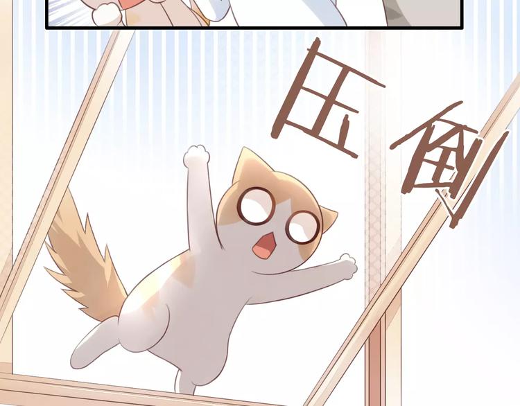 《猫爪之下》漫画最新章节第39话 鸟妈妈的苦心免费下拉式在线观看章节第【54】张图片