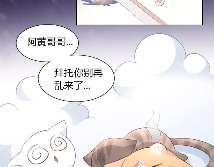 《猫爪之下》漫画最新章节第39话 鸟妈妈的苦心免费下拉式在线观看章节第【57】张图片