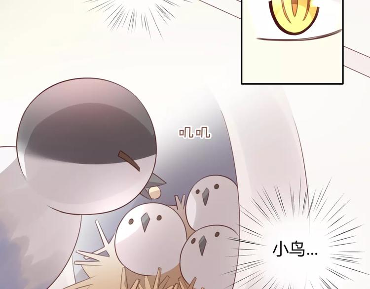 《猫爪之下》漫画最新章节第39话 鸟妈妈的苦心免费下拉式在线观看章节第【61】张图片