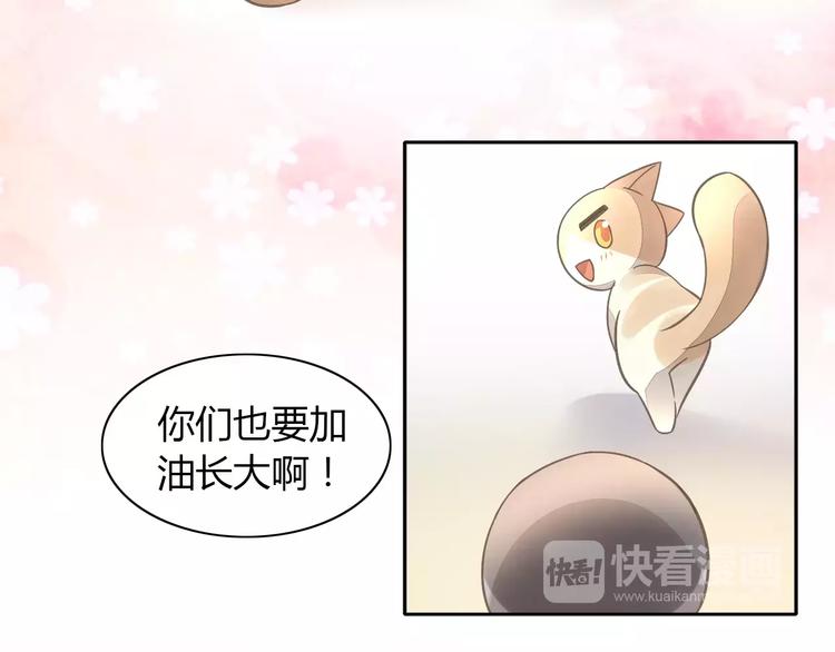 《猫爪之下》漫画最新章节第39话 鸟妈妈的苦心免费下拉式在线观看章节第【87】张图片