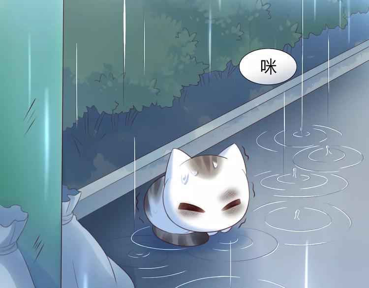 《猫爪之下》漫画最新章节第40话 小可怜免费下拉式在线观看章节第【14】张图片