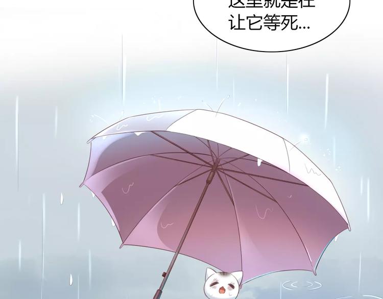 《猫爪之下》漫画最新章节第40话 小可怜免费下拉式在线观看章节第【24】张图片