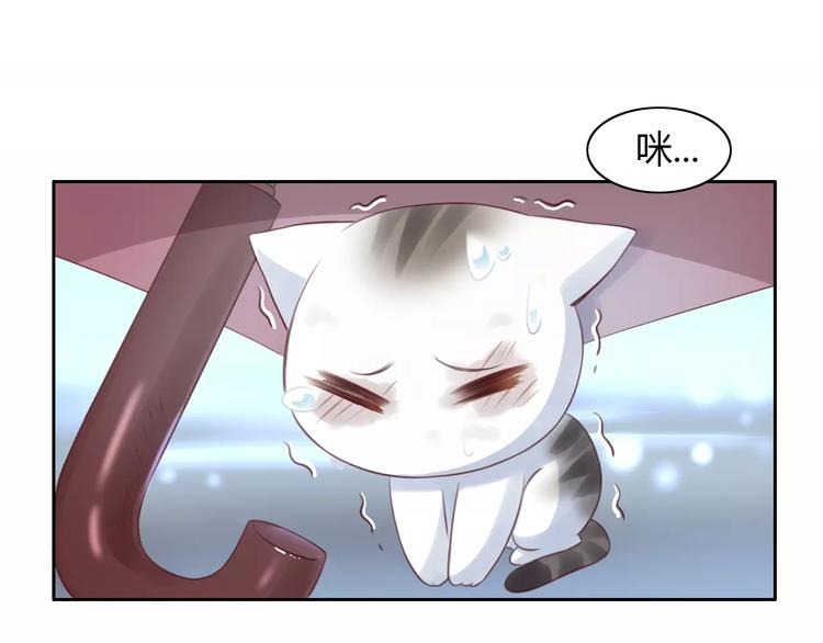 《猫爪之下》漫画最新章节第40话 小可怜免费下拉式在线观看章节第【36】张图片