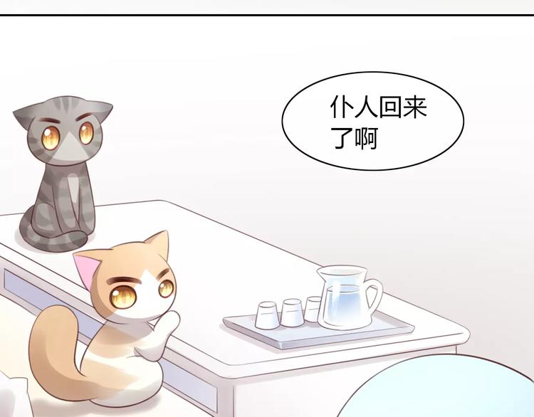 《猫爪之下》漫画最新章节第40话 小可怜免费下拉式在线观看章节第【51】张图片