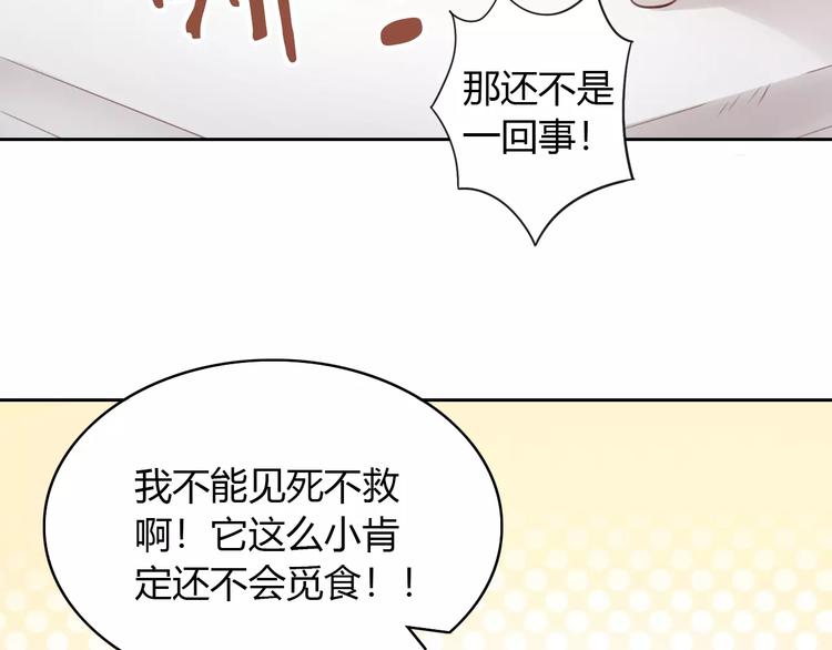 《猫爪之下》漫画最新章节第40话 小可怜免费下拉式在线观看章节第【68】张图片