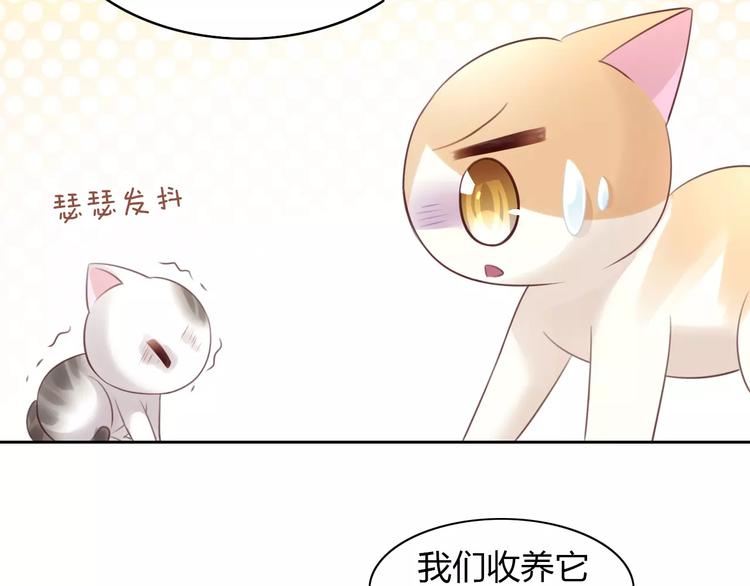 《猫爪之下》漫画最新章节第40话 小可怜免费下拉式在线观看章节第【69】张图片