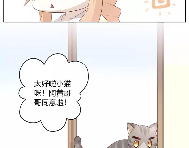 《猫爪之下》漫画最新章节第40话 小可怜免费下拉式在线观看章节第【74】张图片