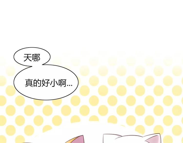 《猫爪之下》漫画最新章节第40话 小可怜免费下拉式在线观看章节第【77】张图片