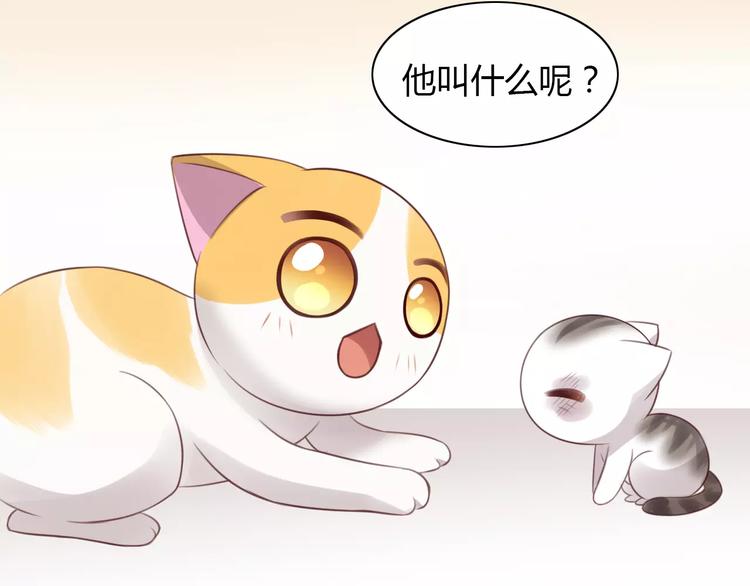 《猫爪之下》漫画最新章节第40话 小可怜免费下拉式在线观看章节第【79】张图片