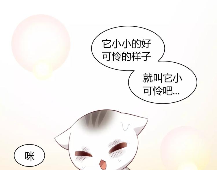 《猫爪之下》漫画最新章节第40话 小可怜免费下拉式在线观看章节第【81】张图片