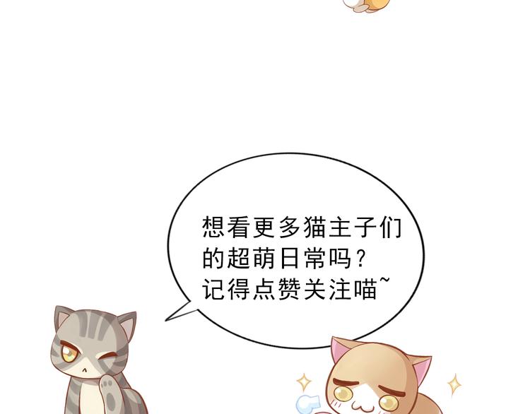 《猫爪之下》漫画最新章节第5话  我叫泰日天！免费下拉式在线观看章节第【123】张图片