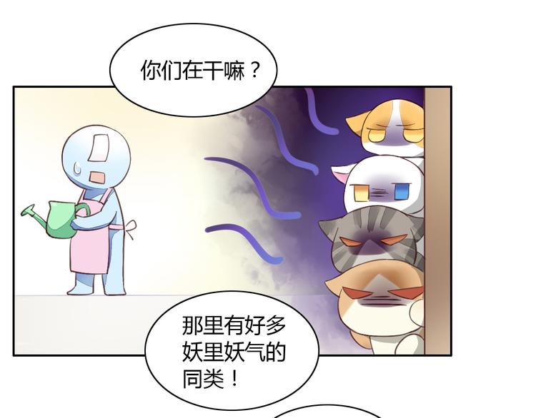 《猫爪之下》漫画最新章节第5话  我叫泰日天！免费下拉式在线观看章节第【14】张图片