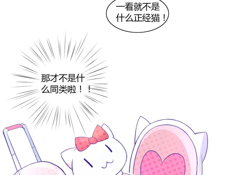 《猫爪之下》漫画最新章节第5话  我叫泰日天！免费下拉式在线观看章节第【15】张图片