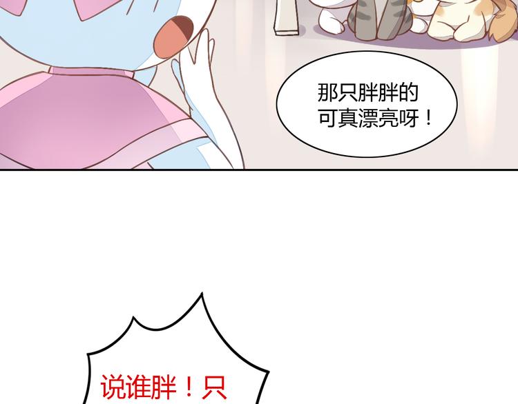 《猫爪之下》漫画最新章节第5话  我叫泰日天！免费下拉式在线观看章节第【24】张图片