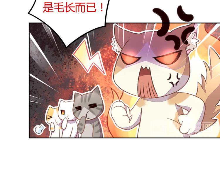 《猫爪之下》漫画最新章节第5话  我叫泰日天！免费下拉式在线观看章节第【25】张图片