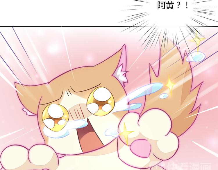 《猫爪之下》漫画最新章节第5话  我叫泰日天！免费下拉式在线观看章节第【78】张图片