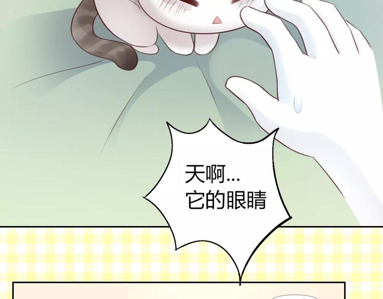 《猫爪之下》漫画最新章节第41话 小可怜竟然是？免费下拉式在线观看章节第【11】张图片