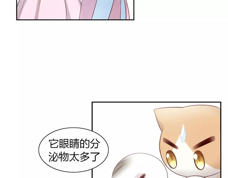 《猫爪之下》漫画最新章节第41话 小可怜竟然是？免费下拉式在线观看章节第【17】张图片