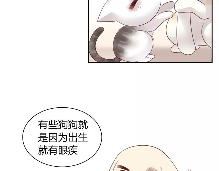 《猫爪之下》漫画最新章节第41话 小可怜竟然是？免费下拉式在线观看章节第【18】张图片