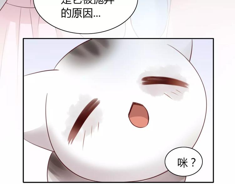 《猫爪之下》漫画最新章节第41话 小可怜竟然是？免费下拉式在线观看章节第【25】张图片