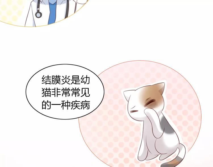 《猫爪之下》漫画最新章节第41话 小可怜竟然是？免费下拉式在线观看章节第【40】张图片