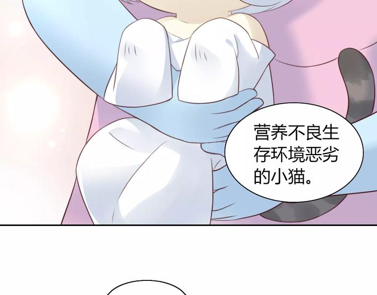 《猫爪之下》漫画最新章节第41话 小可怜竟然是？免费下拉式在线观看章节第【43】张图片