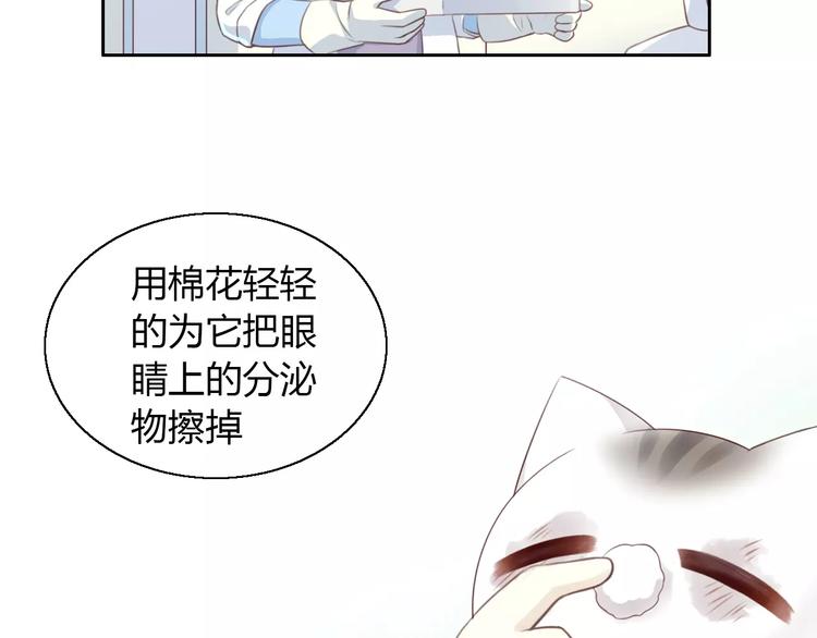 《猫爪之下》漫画最新章节第41话 小可怜竟然是？免费下拉式在线观看章节第【46】张图片