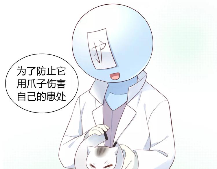 《猫爪之下》漫画最新章节第41话 小可怜竟然是？免费下拉式在线观看章节第【48】张图片