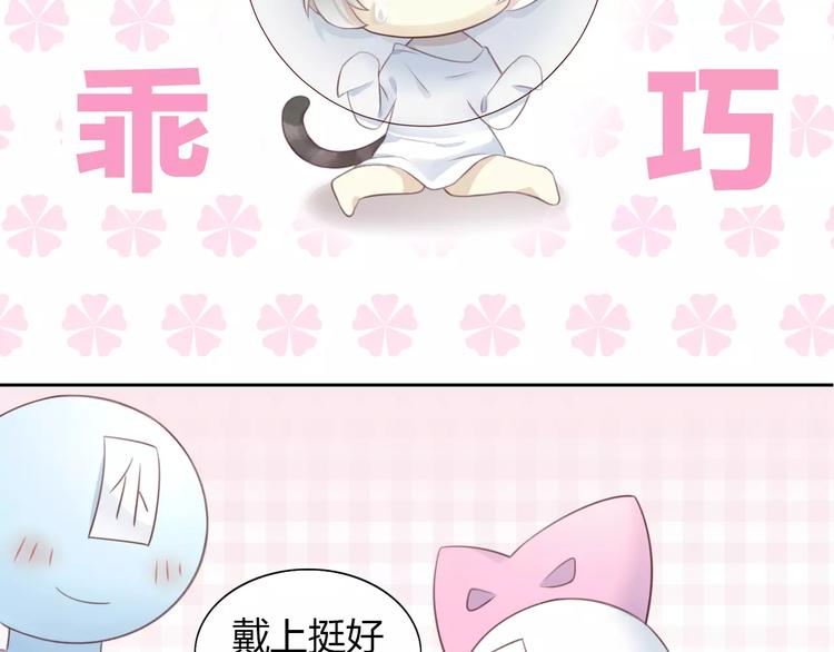 《猫爪之下》漫画最新章节第41话 小可怜竟然是？免费下拉式在线观看章节第【50】张图片