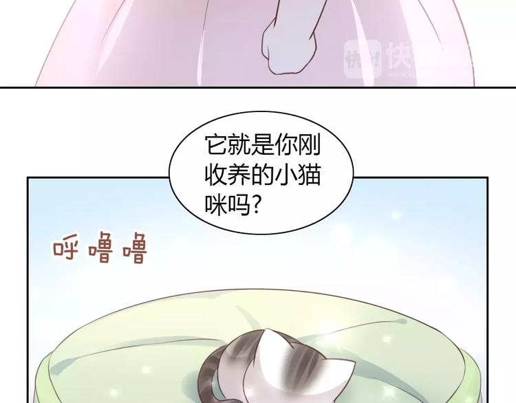 《猫爪之下》漫画最新章节第41话 小可怜竟然是？免费下拉式在线观看章节第【7】张图片