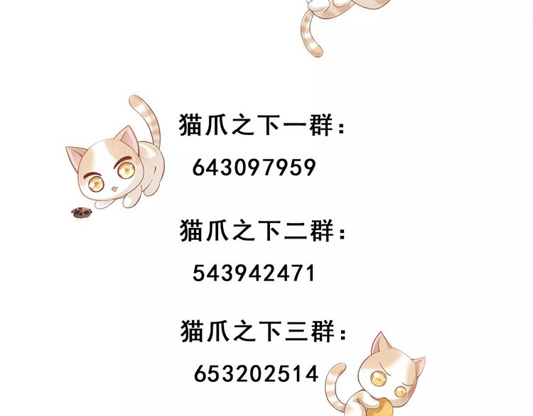 《猫爪之下》漫画最新章节第41话 小可怜竟然是？免费下拉式在线观看章节第【71】张图片