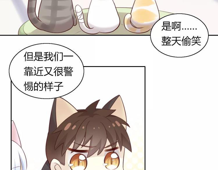 《猫爪之下》漫画最新章节第42话 小可怜的妈妈？免费下拉式在线观看章节第【10】张图片