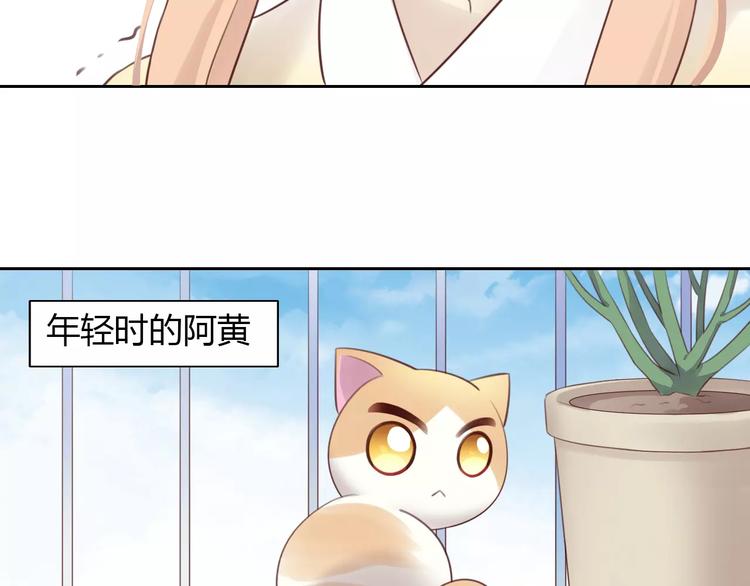 《猫爪之下》漫画最新章节第42话 小可怜的妈妈？免费下拉式在线观看章节第【50】张图片