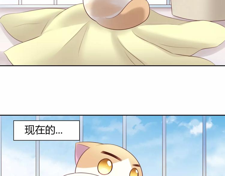 《猫爪之下》漫画最新章节第42话 小可怜的妈妈？免费下拉式在线观看章节第【51】张图片