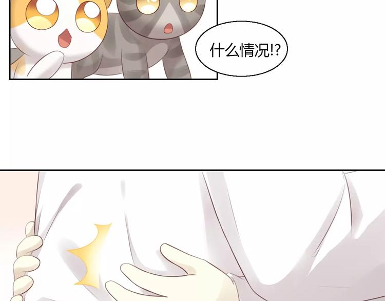 《猫爪之下》漫画最新章节第42话 小可怜的妈妈？免费下拉式在线观看章节第【87】张图片