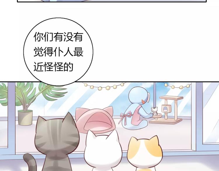 《猫爪之下》漫画最新章节第42话 小可怜的妈妈？免费下拉式在线观看章节第【9】张图片