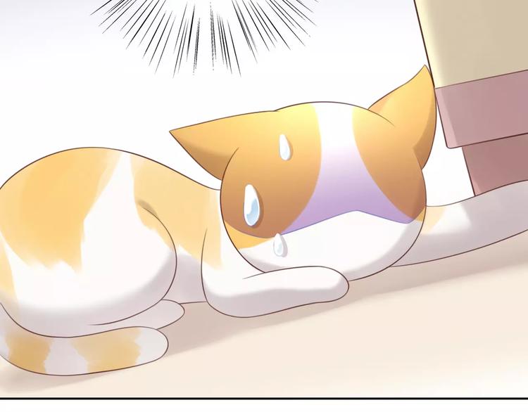 《猫爪之下》漫画最新章节第44话 女王属性？免费下拉式在线观看章节第【64】张图片