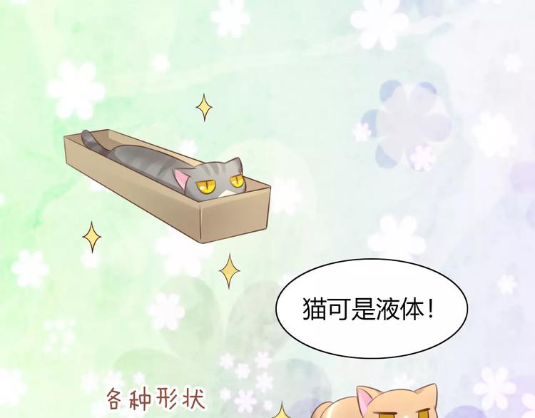 《猫爪之下》漫画最新章节第44话 女王属性？免费下拉式在线观看章节第【71】张图片