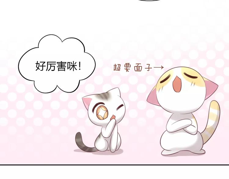 《猫爪之下》漫画最新章节第44话 女王属性？免费下拉式在线观看章节第【73】张图片