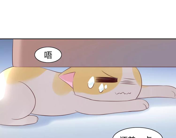 《猫爪之下》漫画最新章节第44话 女王属性？免费下拉式在线观看章节第【75】张图片