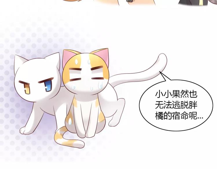 《猫爪之下》漫画最新章节第44话 女王属性？免费下拉式在线观看章节第【93】张图片